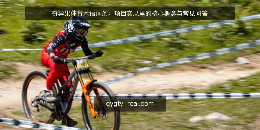 奇异果体育术语词条：项目实录里的核心概念与常见问答 — 先厘清：项目实录与相关术语的边界 配图
